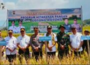 Bupati Monadi Panen Padi Perdana dan Gotong Royong Bersama warga Desa Baru Semerah