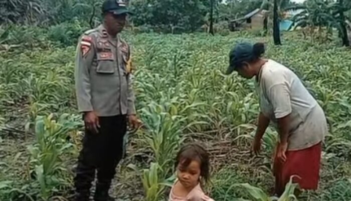 Kunjungan Bhabinkamtibmas ke Ladang Jagung Warga.
