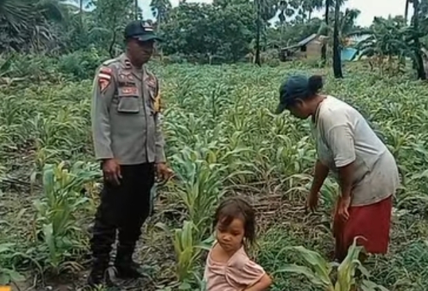 Kunjungan Bhabinkamtibmas ke Ladang Jagung Warga.