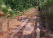 Keluhkan Jalan Rusak Sepanjang 3 KM, Warga Kotadaro I Tagih Janji Pemkab Ogan Ilir