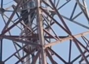 Dua Remaja Nekat Naik Tower 50 Meter di Brebes, Berhasil Dievakuasi Petugas Gabungan