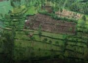 Perhutani Siapkan Langkah Hukum terhadap Perambahan Hutan di Lereng Rogojembangan