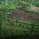 Perhutani Siapkan Langkah Hukum terhadap Perambahan Hutan di Lereng Rogojembangan