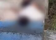 Remaja Ditemukan Meninggal di Area Jembatan Kereta Api Kali Comal, Aparat Lakukan Penyelidikan