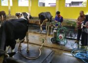 Komisi B DPRD Jateng Dorong Transformasi Balai Pembibitan Ternak sebagai Motor Pertumbuhan Ekonomi Daerah