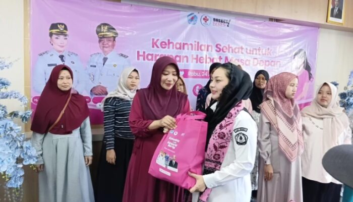 Bupati Brebes Dorong Ibu Hamil Siapkan Administrasi Kesehatan Sejak Dini . Persalinan yang Aman dan Lancar
