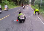 Adu Banteng di Jalur Balapulang Tewaskan Dua Pengendara, Satu Korban Masih Berstatus Pelajar