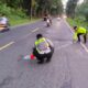 Adu Banteng di Jalur Balapulang Tewaskan Dua Pengendara, Satu Korban Masih Berstatus Pelajar