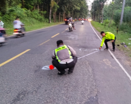 Adu Banteng di Jalur Balapulang Tewaskan Dua Pengendara, Satu Korban Masih Berstatus Pelajar