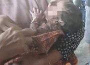 Geger! Bayi Perempuan Baru Lahir Ditemukan Terlantar di Kebun Jagung, Polisi Selidiki Pelakunya