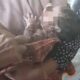 Geger! Bayi Perempuan Baru Lahir Ditemukan Terlantar di Kebun Jagung, Polisi Selidiki Pelakunya
