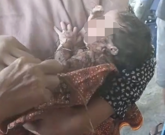 Geger! Bayi Perempuan Baru Lahir Ditemukan Terlantar di Kebun Jagung, Polisi Selidiki Pelakunya