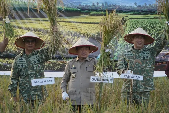 Gubernur Jambi Dr. H. Al Haris, S.Sos., MH menghadiri Panen Raya TNI yang digelar di Kawasan Kota Terpadu Mandiri (KTM) Desa Kota Baru