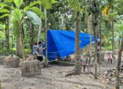​Merespons Aduan Warga, Polsek Tanjung Raja Bongkar Tenda Diduga Arena Sabung Ayam di Talang Balai Lama