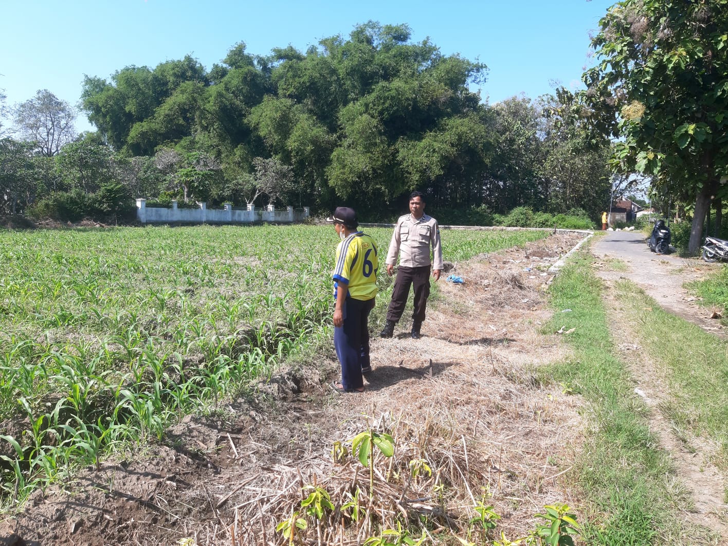 Anggota Polsek Perak Tinjau Perkembangan Tanaman Jagung Triwulan II Tahun 2026