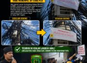 Setelah Didemo LHMB, PLN .ai Bergerak: Kabel Provider Internet Ilegal di Tiang PLN Dipasangi Stiker Peringatan