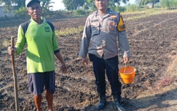 Polsek Kudu Lakukan Pendampingan Penanaman .h Jagung Bantuan Dinas Pertanian melalui Polres Jombang