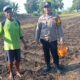 Polsek Kudu Lakukan Pendampingan Penanaman .h Jagung Bantuan Dinas Pertanian melalui Polres Jombang