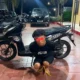 Polres Tapteng Bekuk Pelaku Curanmor Asal Tapsel di Sibabangun