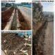 Diduga Pekerjaan Proyek Drainase 380 Meter di Desa Sukabumi Lahat, Pakai Material Asal-asalan dan ‘Siluman’ Tanpa Papan Proyek