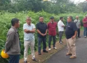 Kadis Perkim TapTeng Bantah Isù Bupati Tapanuli Tengah Belum Tanda Tangani Dokumen Lahan Hunian Tetap