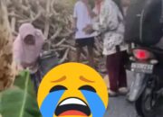 Tumpukan Kayu di Dusun Batu Rintang Memakan Korban Jiwa, LSM Sasaka Soroti Lemahnya Penegakan Aturan