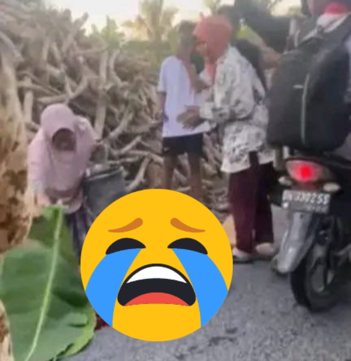 Tumpukan Kayu di Dusun Batu Rintang Memakan Korban Jiwa, LSM Sasaka Soroti Lemahnya Penegakan Aturan