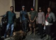 Amankan Pencuri Kelapa Sawit : Polsek Pinangsori Tangkap Pemuda SS,70 Kg TBS Jadi Barang Bukti