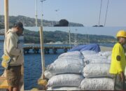 Semangat Mandiri Warga Pulau Roma: Bawa 12 Ton Kopra ke Dermaga Kisar, Ajak Masyarakat Jangan Hanya Bergantung Bantuan