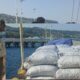 Semangat Mandiri Warga Pulau Roma: Bawa 12 Ton Kopra ke Dermaga Kisar, Ajak Masyarakat Jangan Hanya Bergantung Bantuan