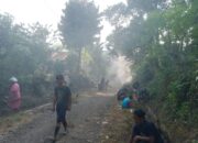 Salut! Warga Dusun Krajan II Pemalang Kompak Rogoh Kocek Sendiri, Jalan Rusak Diperbaiki Lewat Semangat Gotong Royong