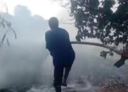 Kemarau Picu Kebakaran Hebat di Kota Tegal, Api Nyaris Lahap Permukiman Warga Slerok