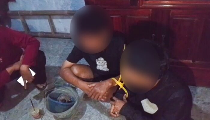 Geger Pemalang! Rumah Produksi Ganja Sintetis Dibongkar, Dua Pemuda Diamankan Polisi