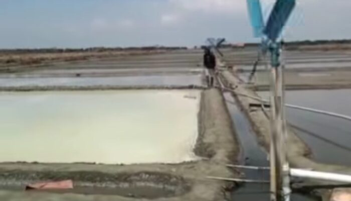 Harga Garam Anjlok di Brebes, Petani Menjerit