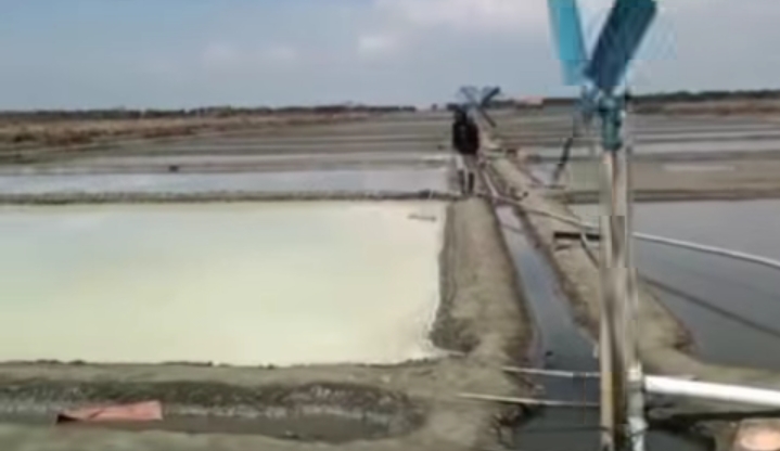 Harga Garam Anjlok di Brebes, Petani Menjerit