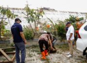Doa dan Sedekah Domba Tokoh Masyarakat Kecamatan Mauk, Berharap Kebakaran TPA Jatiwaringin Segera Padam