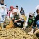 Dukung Sektor Pertanian, Bupati Kerinci Tinjau Penangkaran dan Potensi Budidaya di BBI