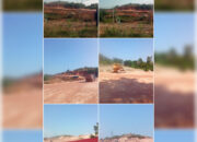 Sorotan Atas Dugaan Pengerukan Hutan Lindung di Barelang oleh PT Dira