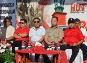 Karnaval Pembangunan dan Pelayanan Publik Semarakkan HUT Ke 81 RI di Tiakur