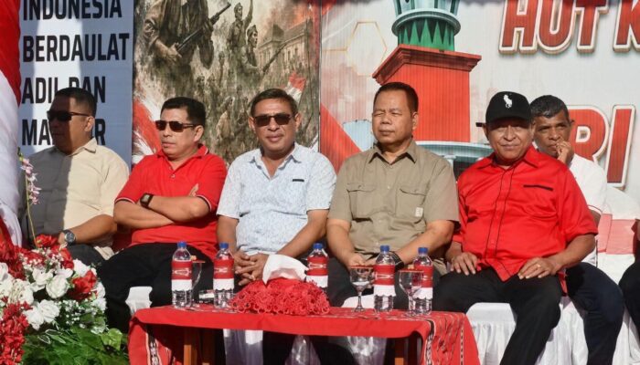 Karnaval Pembangunan dan Pelayanan Publik Semarakkan HUT Ke 81 RI di Tiakur