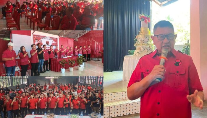 177 Ranting dan 17 PAC PDI Perjuangan Minsel Rampung Dibentuk dalam Dua Bulan