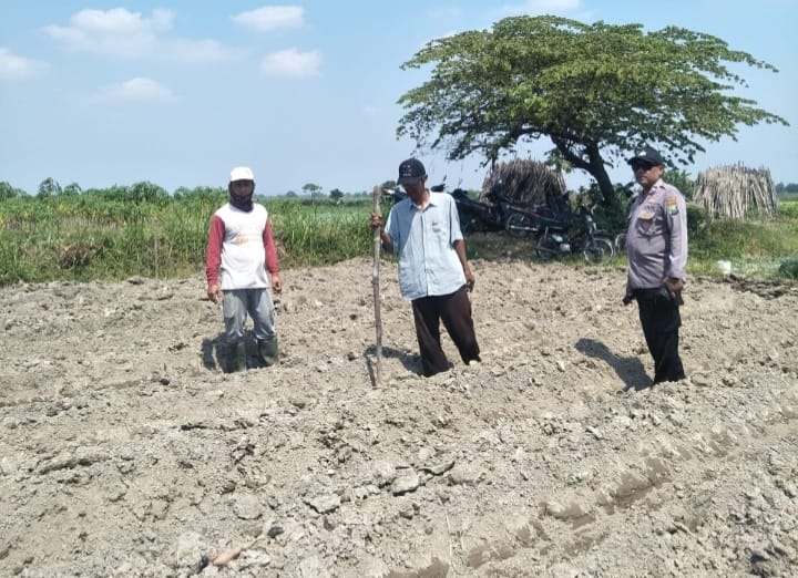 Polres Jombang Optimalkan Ketahanan Pangan melalui Pendampingan Tanaman Jagung