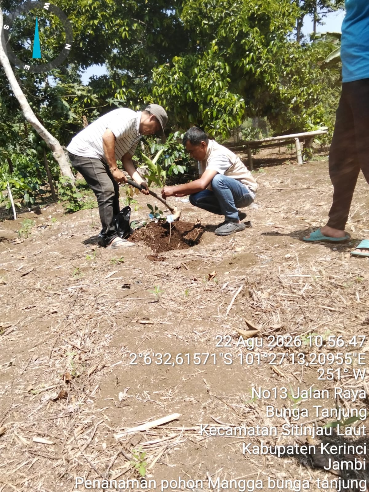 Hijaukan Kerinci, Kelompok Brajo Sakti Tanam 1.000 Bibit Buah Bantuan BPDAS Jambi