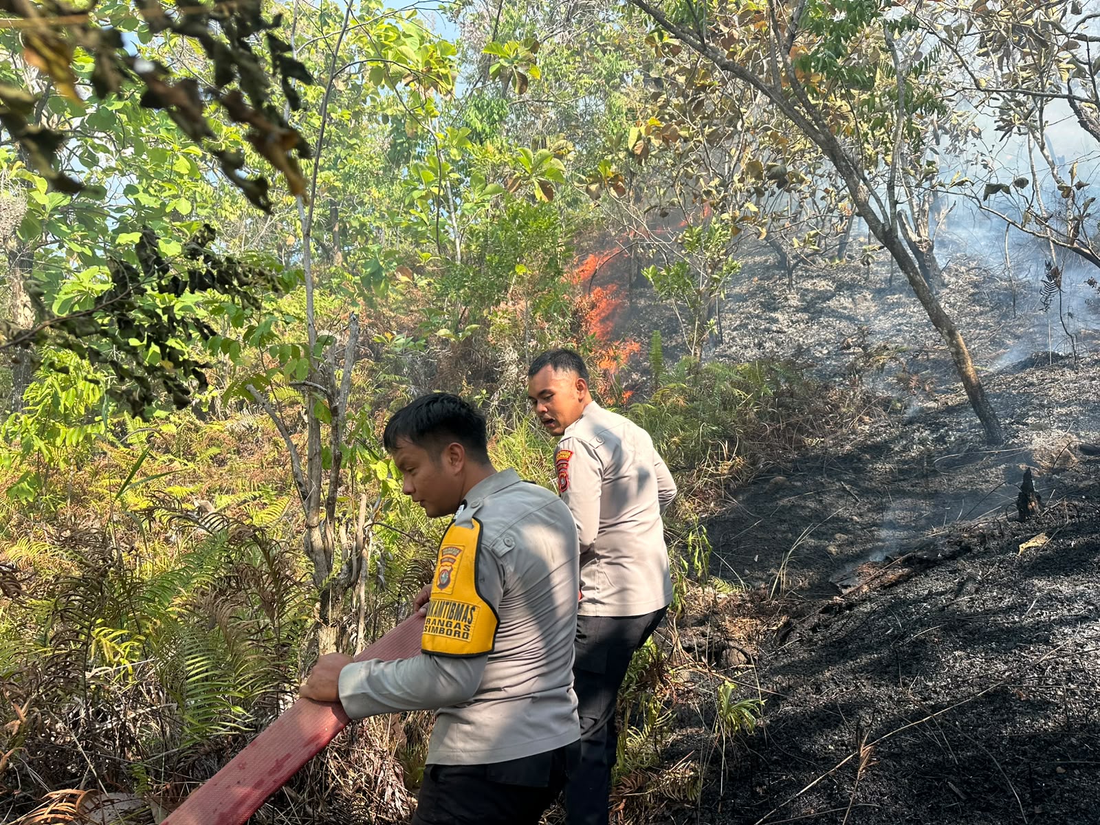 Polresta Mamuju Bersama TNI-Pemda Sigap Padamkan Karhutla di Desa Sumare, Permukiman Warga Terlindungi