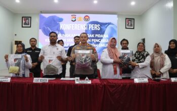 Polresta Mamuju Tangkap 15 Pelaku Kekerasan Seksual Terhadap Anak, Kapolresta : Pastikan Seluruh Pelaku Diproses Hukum