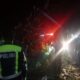 Satu Pohon Tumbang Menimpa Carry Pickup Dengan Sejumlah Penumpang di Dalamnya