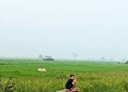 Kualitas Udara Memburuk, Warga Kerinci dan Sungai Penuh Diimbau Pakai Masker