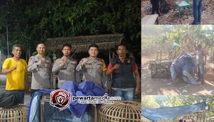 Respon Cepat Laporan Warga, Polsek Rantau Alai Bongkar Arena Diduga Tempat Judi Sabung Ayam