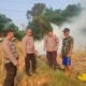 Musim Kemarau Mengancam, Polsek Lebaksiu Bergerak Cegah Kebakaran Lahan Tebu di Tegal