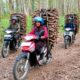 Kemarau Bukan Musibah, Rencek Hutan Jati Jadi Napas Ekonomi Warga Cibunar Tegal